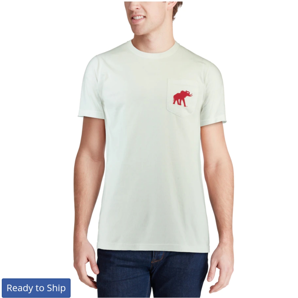 Alabama Crimson Tide Football Mens White Ncaa Tee